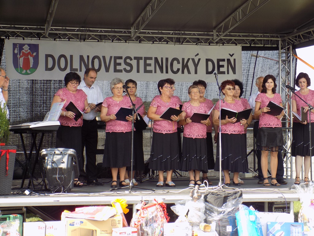 Fotogaléria Dolnovestenický deň, 2. 9. 2018 (42) Dolnovestenický deň, 2. 9. 2018